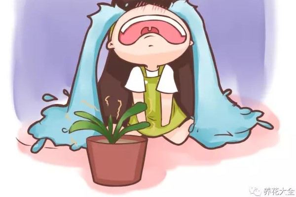这些花夏天你就别养了,一养一个死! 这些花夏天你就别养了,一养一个死!