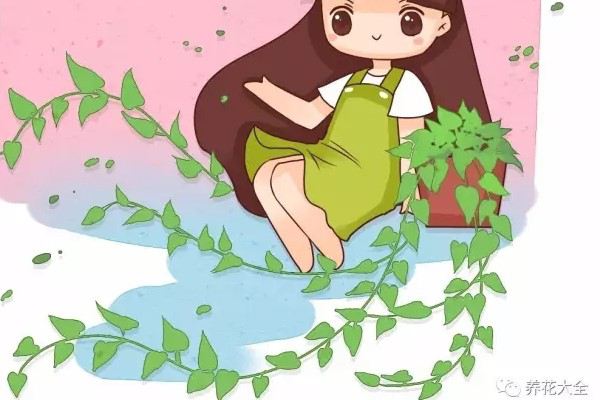 随手加点料,绿萝文竹疯长100米! 随手加点料,绿萝文竹疯长100米!