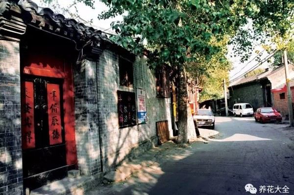 这才是中国人最想过的小日子! 这才是中国人最想过的小日子!