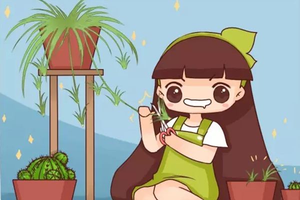 这4种花1盆变100盆,连扦插都不用! 这4种花1盆变100盆,连扦插都不用!