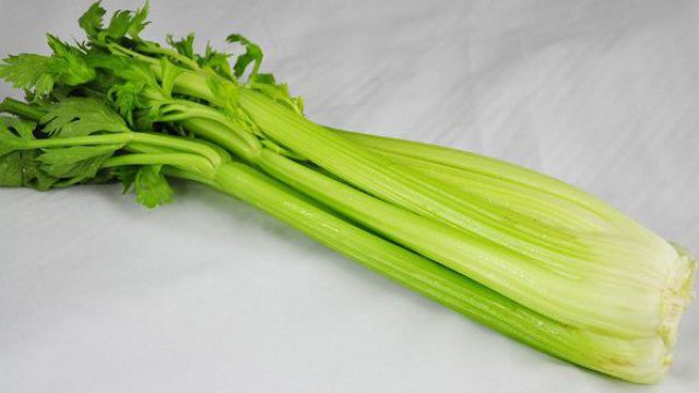 芹菜的病虫害防治 芹菜的病虫害防治