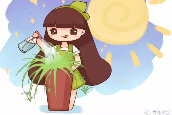 她养的吊兰2指宽,铜钱草巴掌大,咋做到的? 她养的吊兰2指宽,铜钱草巴掌大,咋做到的?