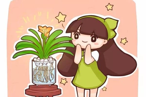 君子兰月季…扔水里,居然长疯了! 君子兰月季…扔水里,居然长疯了!