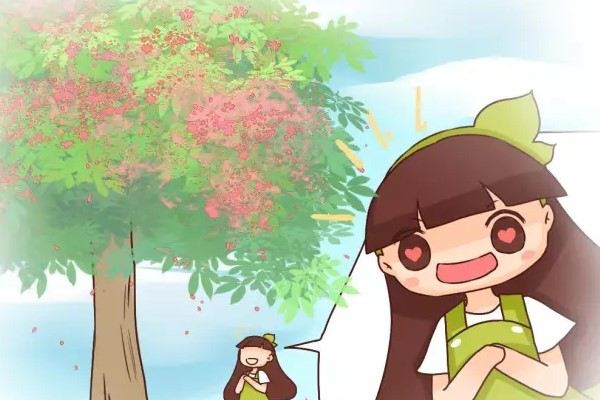 老天,这些树居然活了5000年!赶得上中国历史了! 老天,这些树居然活了5000年!赶得上中国历史了!