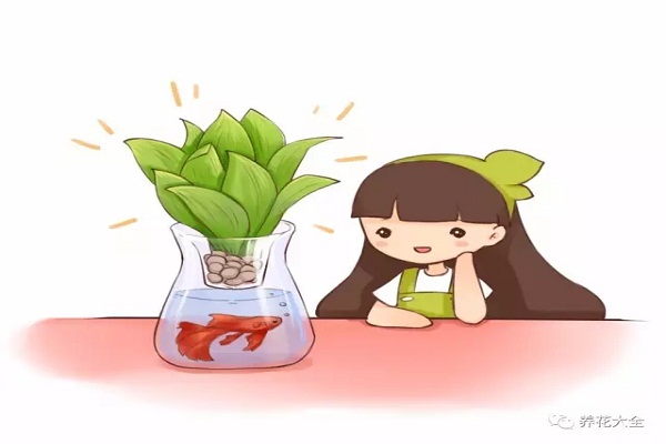 这些花给点儿水就能活!一点儿都不费事儿!还不赶紧养? 这些花给点儿水就能活!一点儿都不费事儿!还不赶紧养?