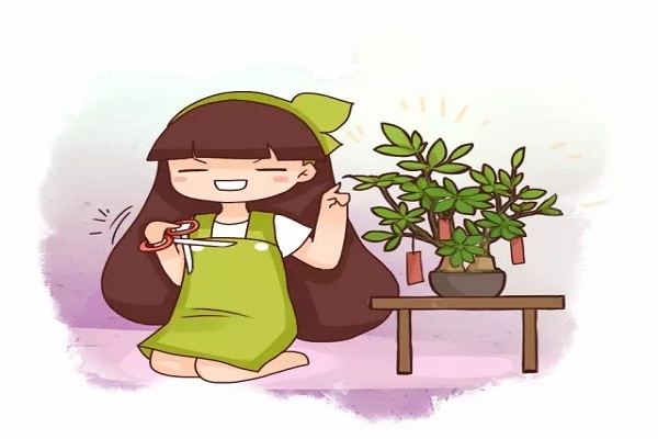 发财树看见这种枝,赶紧剪,要不然过两天就彻底长残! 发财树看见这种枝,赶紧剪,要不然过两天就彻底长残!