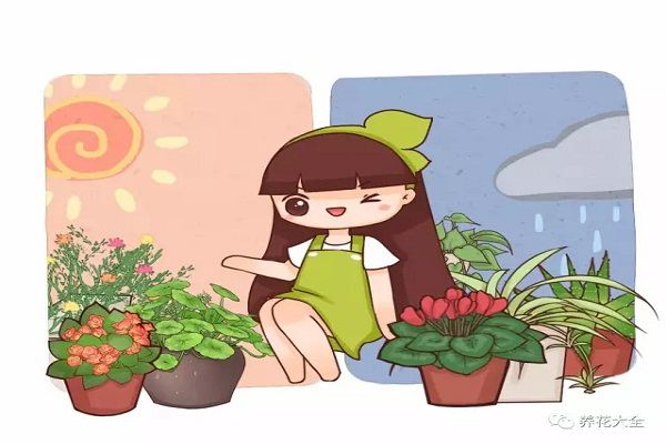 小时候吃过的那些野果,现在连名字都不记得了! 小时候吃过的那些野果,现在连名字都不记得了!