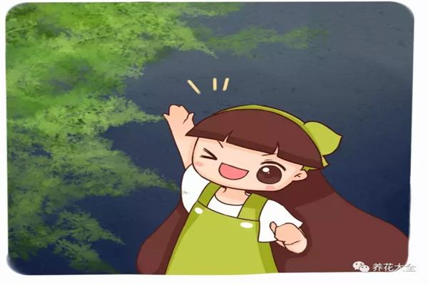 1棵文竹养10年,年年开花结果子!咋养的? 1棵文竹养10年,年年开花结果子!咋养的?