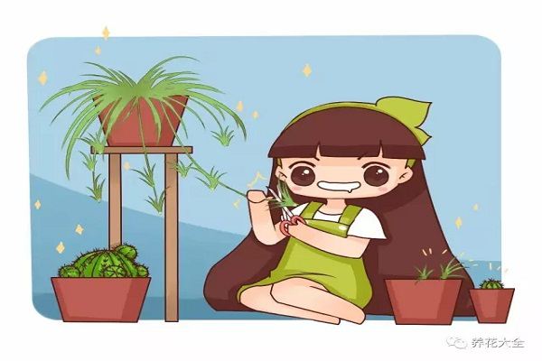 秋天养花就靠这7点,学会了保你花开满盆! 秋天养花就靠这7点,学会了保你花开满盆!