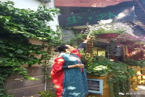 她把破旧老屋变“世外桃源”,养花种果树,过上富足人生…… 她把破旧老屋变“世外桃源”,养花种果树,过上富足人生……