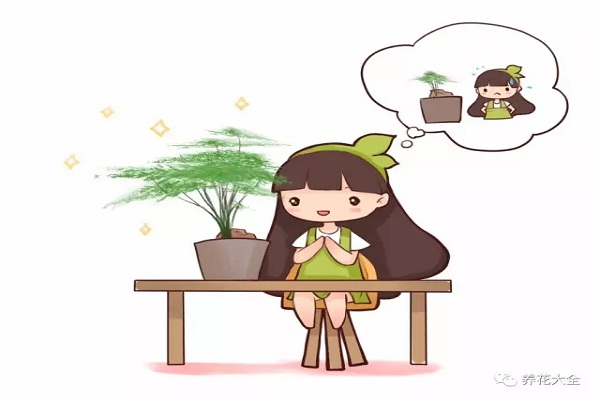 办公桌上就得养这8种花!其他的一养一个死! 办公桌上就得养这8种花!其他的一养一个死!