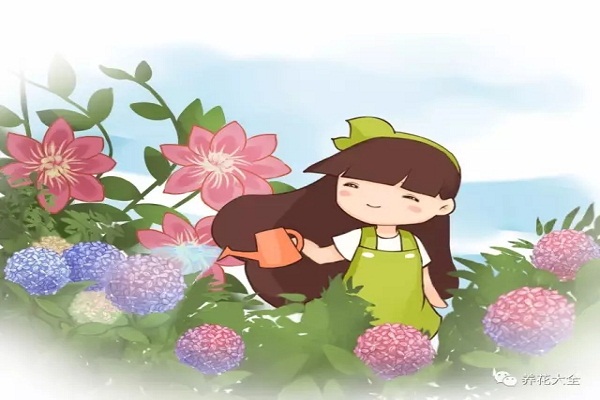 叶面喷点儿这个,再也不用施肥了! 叶面喷点儿这个,再也不用施肥了!