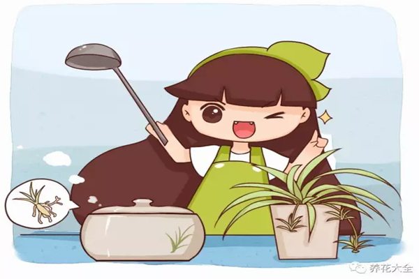 没有最丑只有更丑,奇葩多肉丑到家! 没有最丑只有更丑,奇葩多肉丑到家!