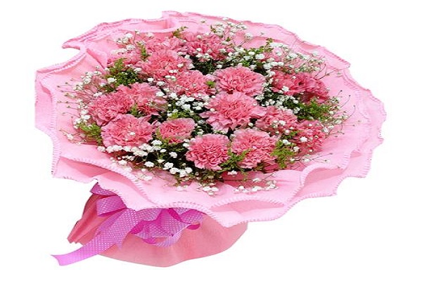 康乃馨花束怎么养 康乃馨花束怎么养