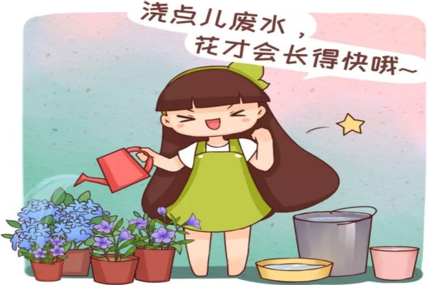 给花浇点废水,不用施肥也呼呼长,后悔现在才知道! 给花浇点废水,不用施肥也呼呼长,后悔现在才知道!