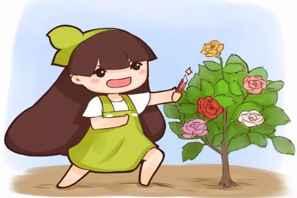3种月季扦插方法,学会1种,100%插活! 3种月季扦插方法,学会1种,100%插活!