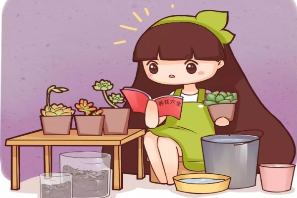 初春养花牢记这5点,否则养1盆死1盆! 初春养花牢记这5点,否则养1盆死1盆!
