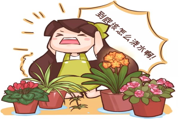 浇水时多做1件事,花嗖嗖疯长,叶子绿油油! 浇水时多做1件事,花嗖嗖疯长,叶子绿油油!