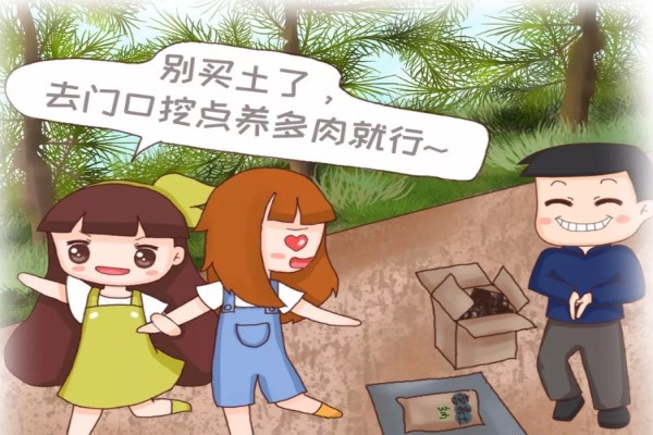 养多肉还买土?门口挖点掺上它,1分钱不花爆10盆! 养多肉还买土?门口挖点掺上它,1分钱不花爆10盆!