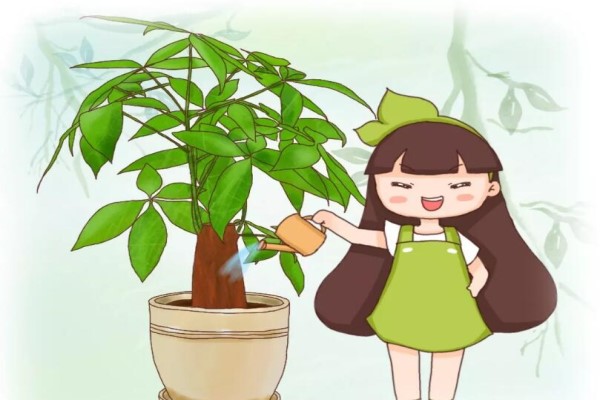 这30种花,春天这么浇水,连绿萝都死翘翘了! 这30种花,春天这么浇水,连绿萝都死翘翘了!