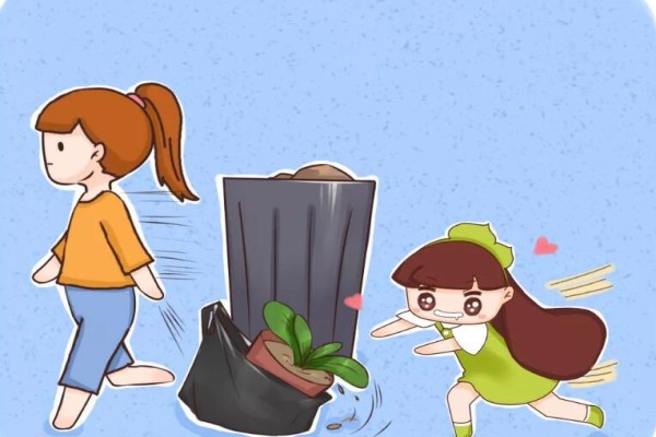 她嫌丑扔掉的花,邻居捡去养成宝,后悔死了! 她嫌丑扔掉的花,邻居捡去养成宝,后悔死了!