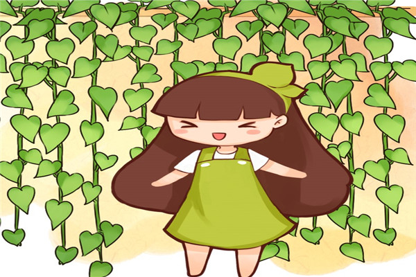 啤酒加点料,栀子月季…连续开花8个月,1次能开100朵! 啤酒加点料,栀子月季…连续开花8个月,1次能开100朵!