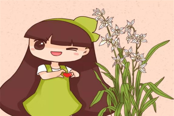 兰花3年不开花?养兰大神教你这1招,1个月养出极品天价兰! 兰花3年不开花?养兰大神教你这1招,1个月养出极品天价兰!