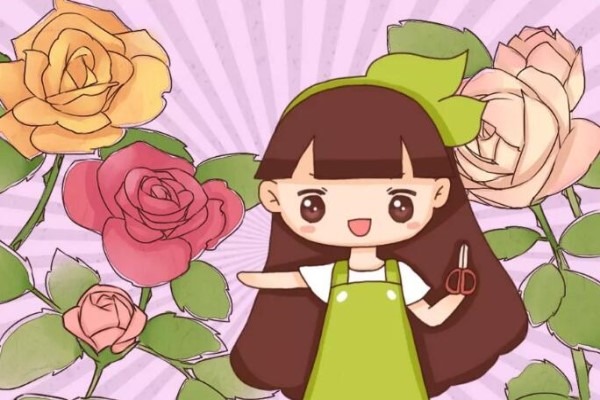 月季杜鹃这么剪,花多枝壮,年年开爆盆! 月季杜鹃这么剪,花多枝壮,年年开爆盆!