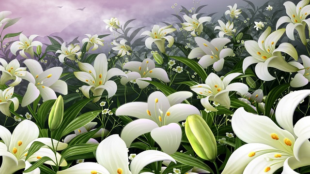 百合花怎么养才不死 百合花怎么养才不死