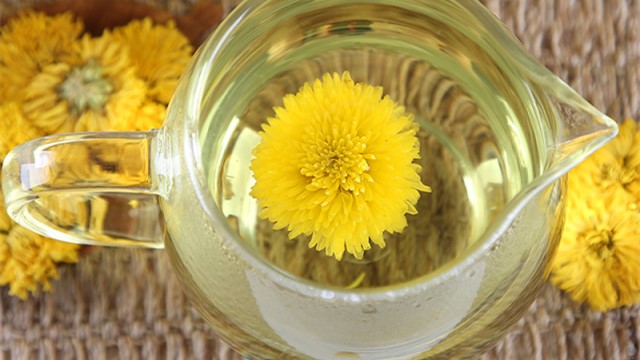 菊花茶可以天天喝吗 菊花茶可以天天喝吗