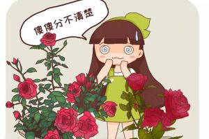 她买的薄荷清香木···居然是假冒的，赶紧分清避免被坑！