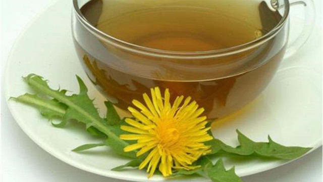 蒲公英茶和什么一起喝 蒲公英茶和什么一起喝