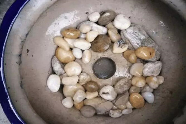 洗碗布丢盆底,花呼呼长爆盆,养10年都不烂根! 洗碗布丢盆底,花呼呼长爆盆,养10年都不烂根!