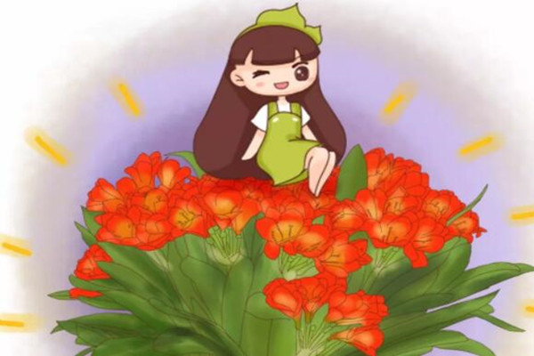 他的君子兰年年开花,连结10个果,到底咋养的? 他的君子兰年年开花,连结10个果,到底咋养的?