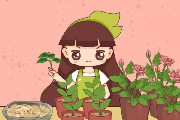 木头渣子竟是养花宝贝?养花大神就靠它,把花1盆变100盆! 木头渣子竟是养花宝贝?养花大神就靠它,把花1盆变100盆!