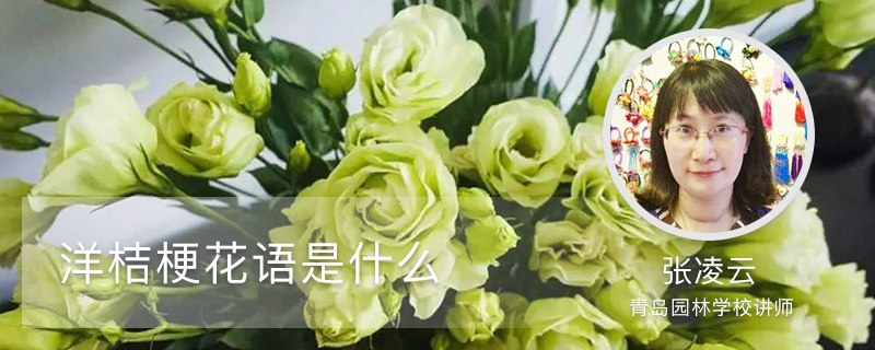 洋桔梗花语是什么 洋桔梗花语是什么