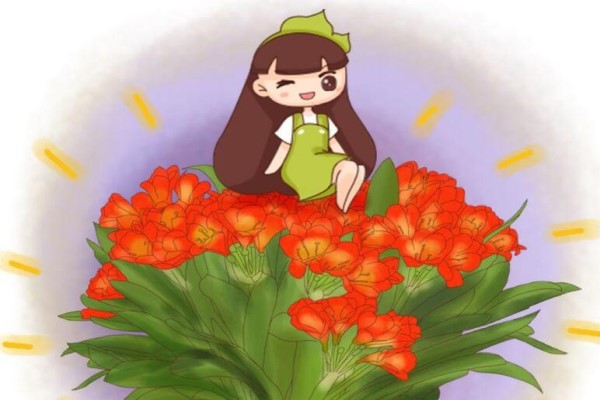 君子兰的这几个品种,盆盆是高价,连片叶子也买不起! 君子兰的这几个品种,盆盆是高价,连片叶子也买不起!
