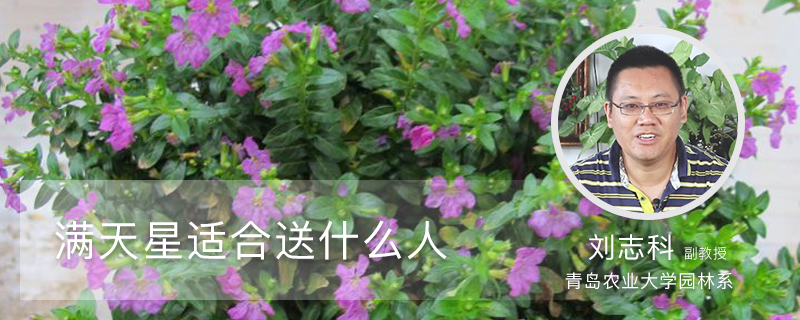 满天星适合送什么人 满天星适合送什么人