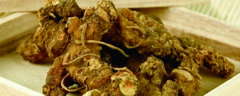 黄精种植技术 黄精种植技术
