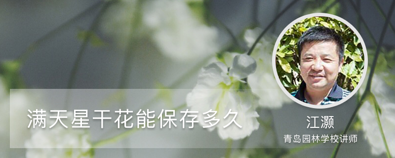 满天星干花能保存多久,买回来要水养吗 满天星干花能保存多久,买回来要水养吗