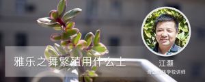 雅乐之舞繁殖用什么土，有什么移盆技巧