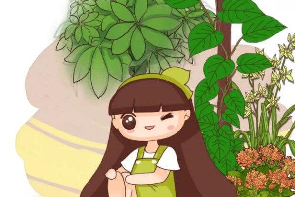 你养的绿萝蟹爪兰,竟然还有这种寓意…… 你养的绿萝蟹爪兰,竟然还有这种寓意……