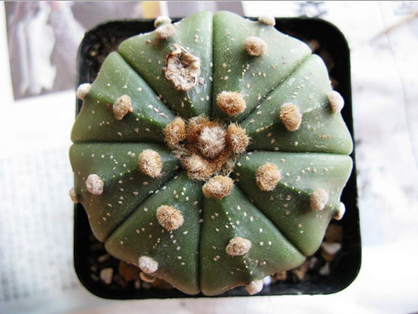 星球大战