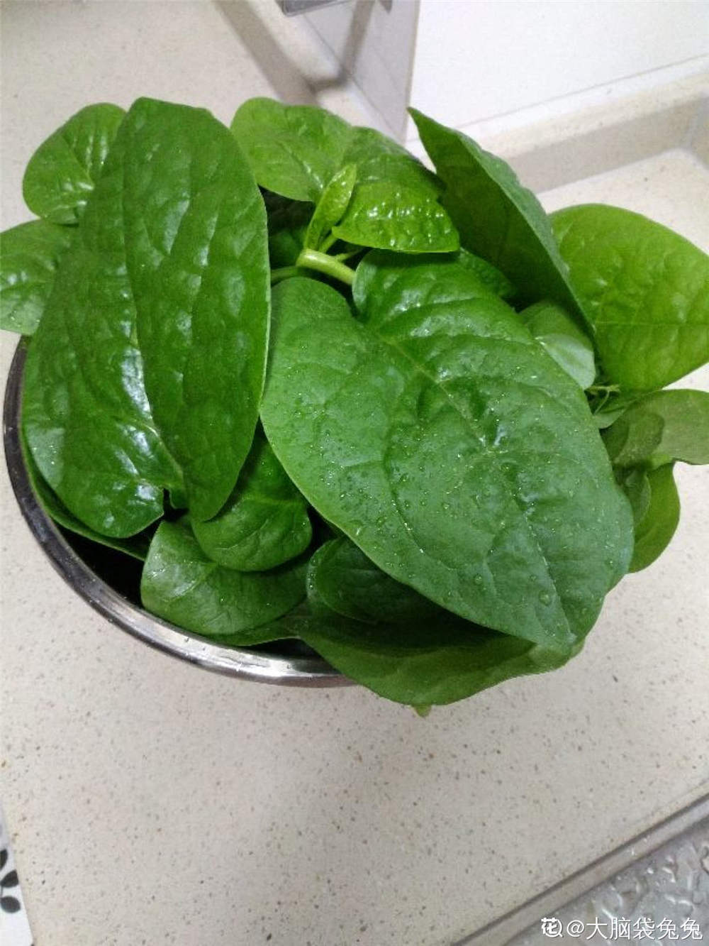 落葵的功效与作用